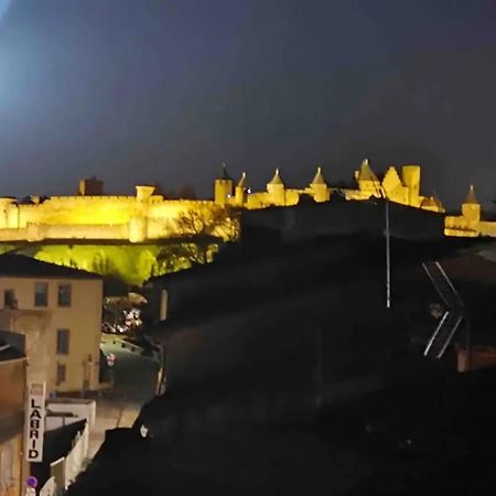 Face Au Canal Du Midi カルカソンヌ エクステリア 写真
