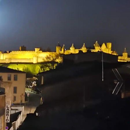 Face Au Canal Du Midi カルカソンヌ エクステリア 写真